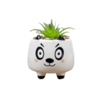 Ceramic Round Puppy Dog Succulent Plant/Pot - Style 7